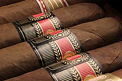 Cigar of the month club!