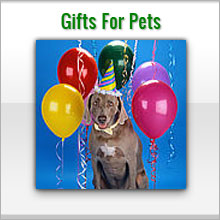 gifts for pets