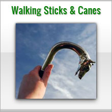 walking sticks and canes