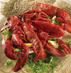 Lobsters