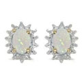 1/2ct Starburst Oval Opal And Diamond Earrings in 14k Yellow Gold
