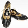 Italian Handcrafted Two-tone Wingtip Oxford Shoes